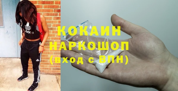 прущий лед Вяземский