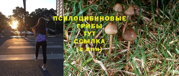 бошки Володарск