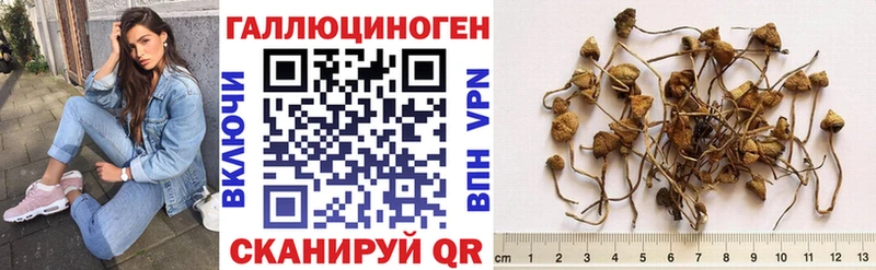 Псилоцибиновые грибы MAGIC MUSHROOMS  Карабаново 